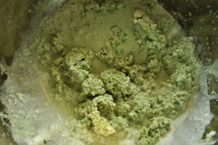 Low Histamine Ice Cream Recipe (Mint Crunch)