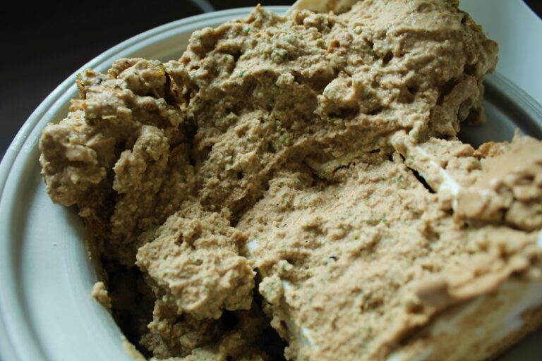 Low Histamine Ice Cream Recipe (Mint Crunch)