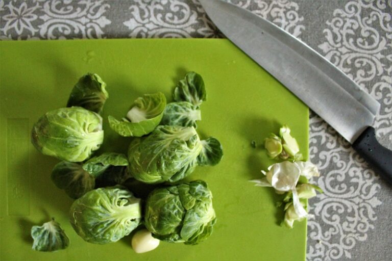Easy Baked Brussels Sprouts with Garlic Low Histamine Eats