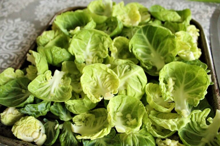 Easy Baked Brussels Sprouts with Garlic Low Histamine Eats