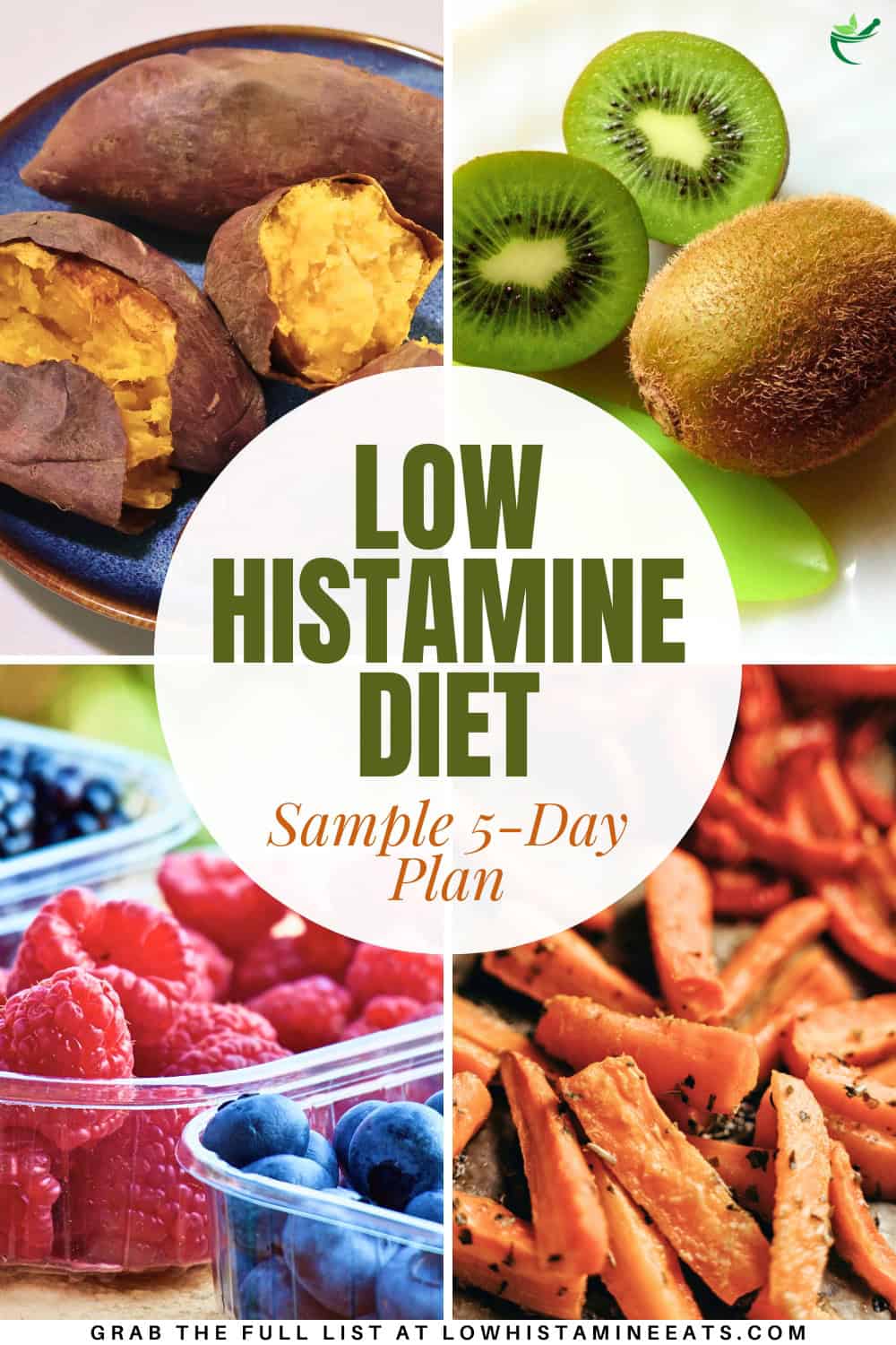 A collage showcasing a sample low histamine diet meal plan for 5 days.
