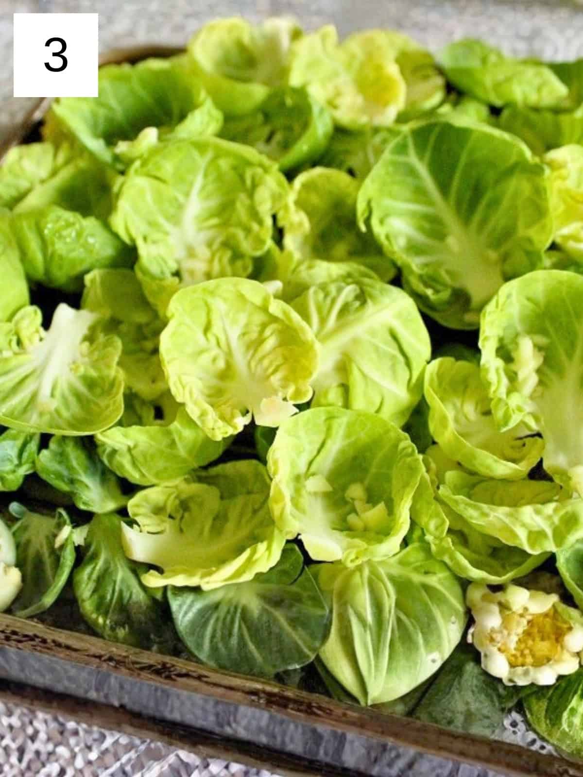 Chopped Brussels sprouts, ready to be baked for a tasty side dish.