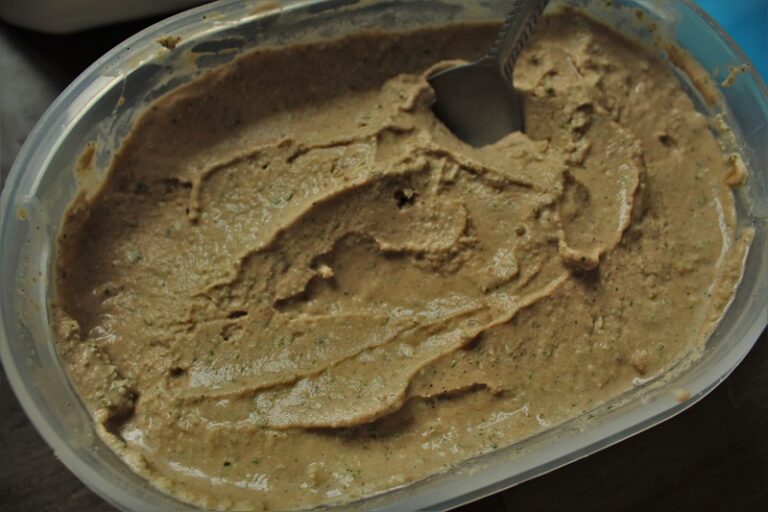 Low Histamine Ice Cream Recipe (Mint Crunch)