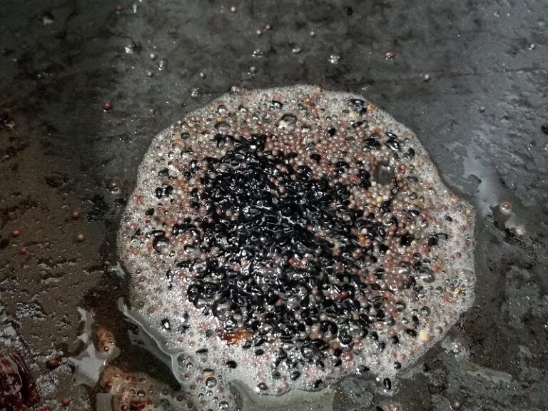 Hearty Spanish Lentil Stew Without Tomatoes (Vegan Option) Low