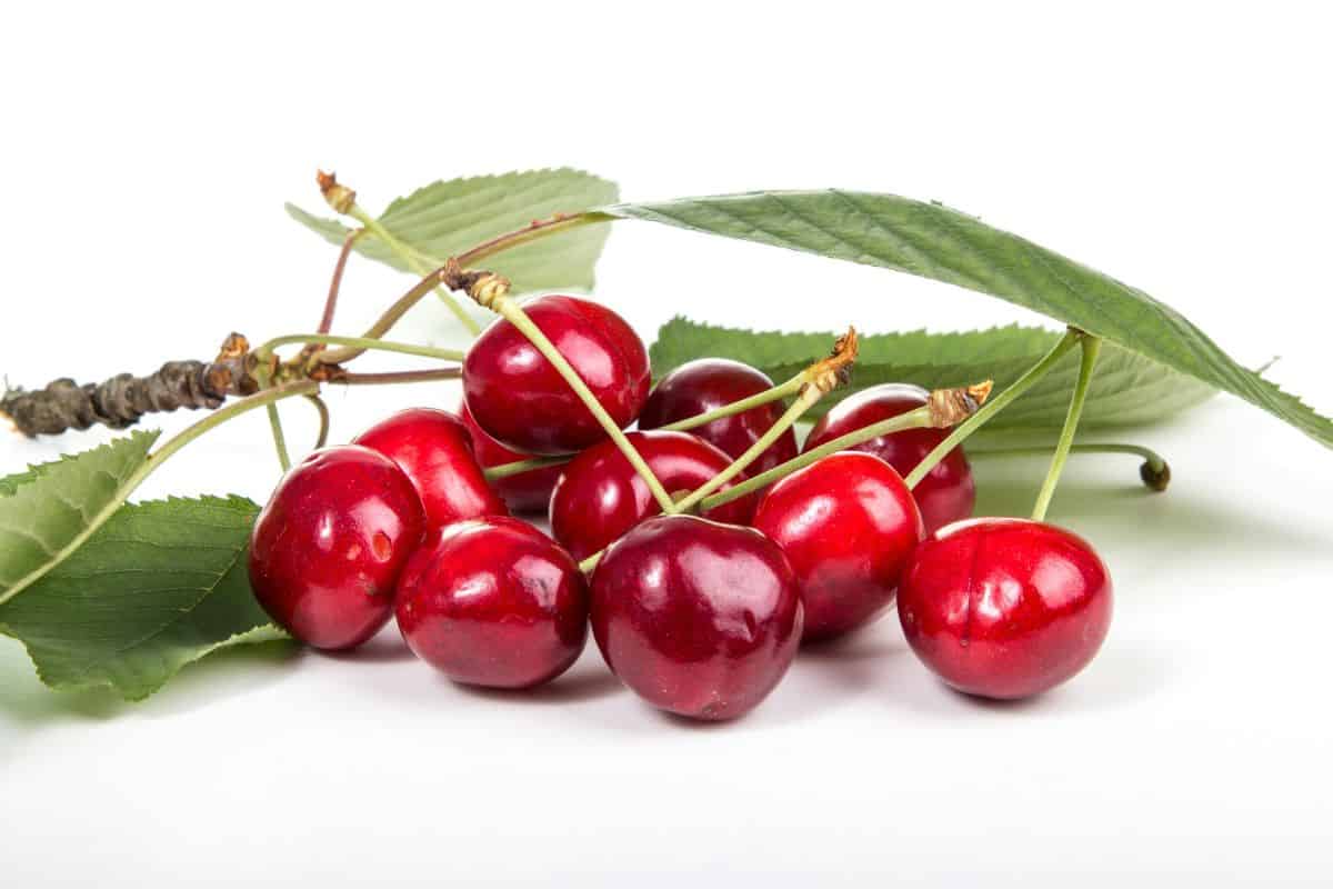 a bunch of cherries on a white background.