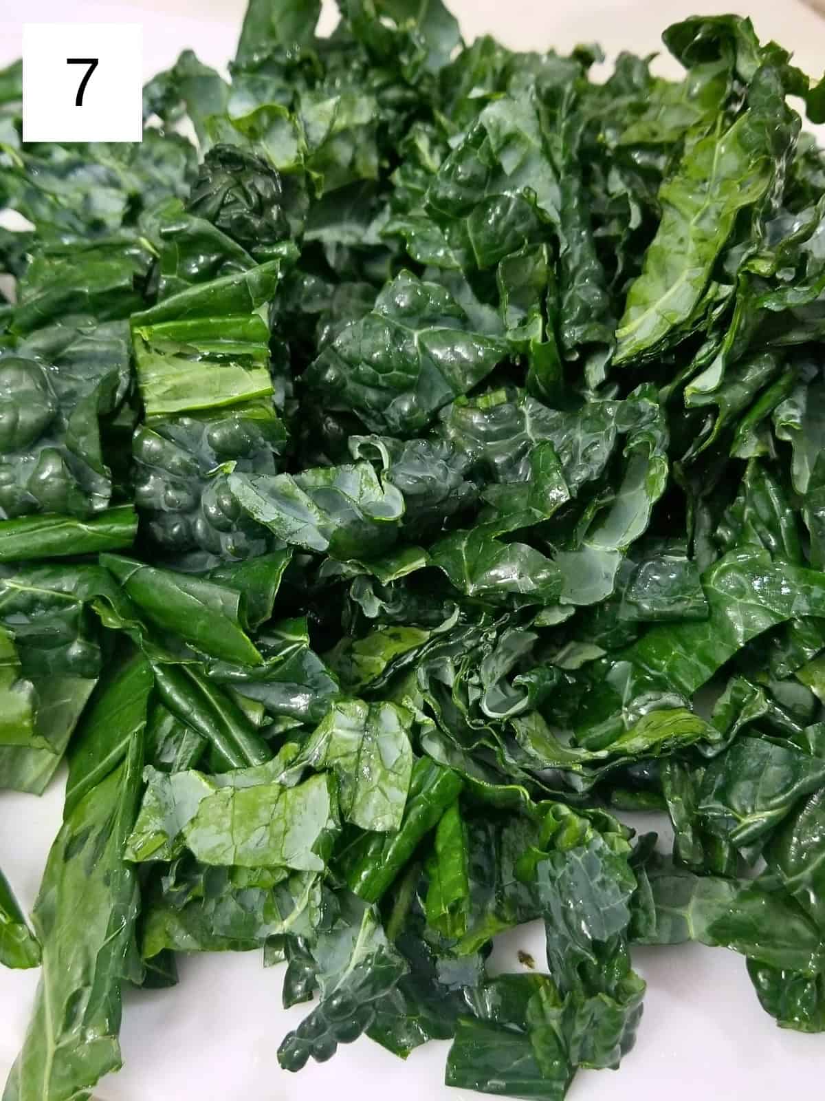 Chopped and washed kale leaves.