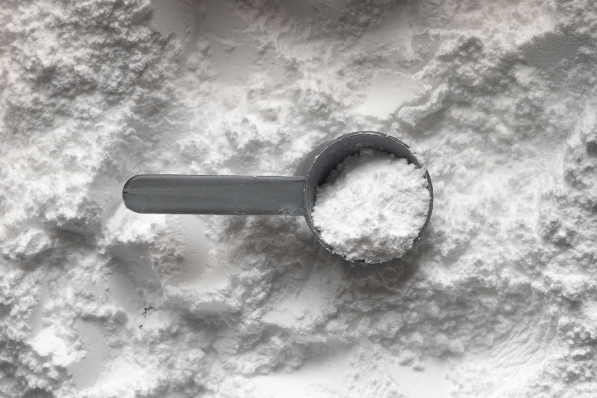 one scoop of white low histamine powder.
