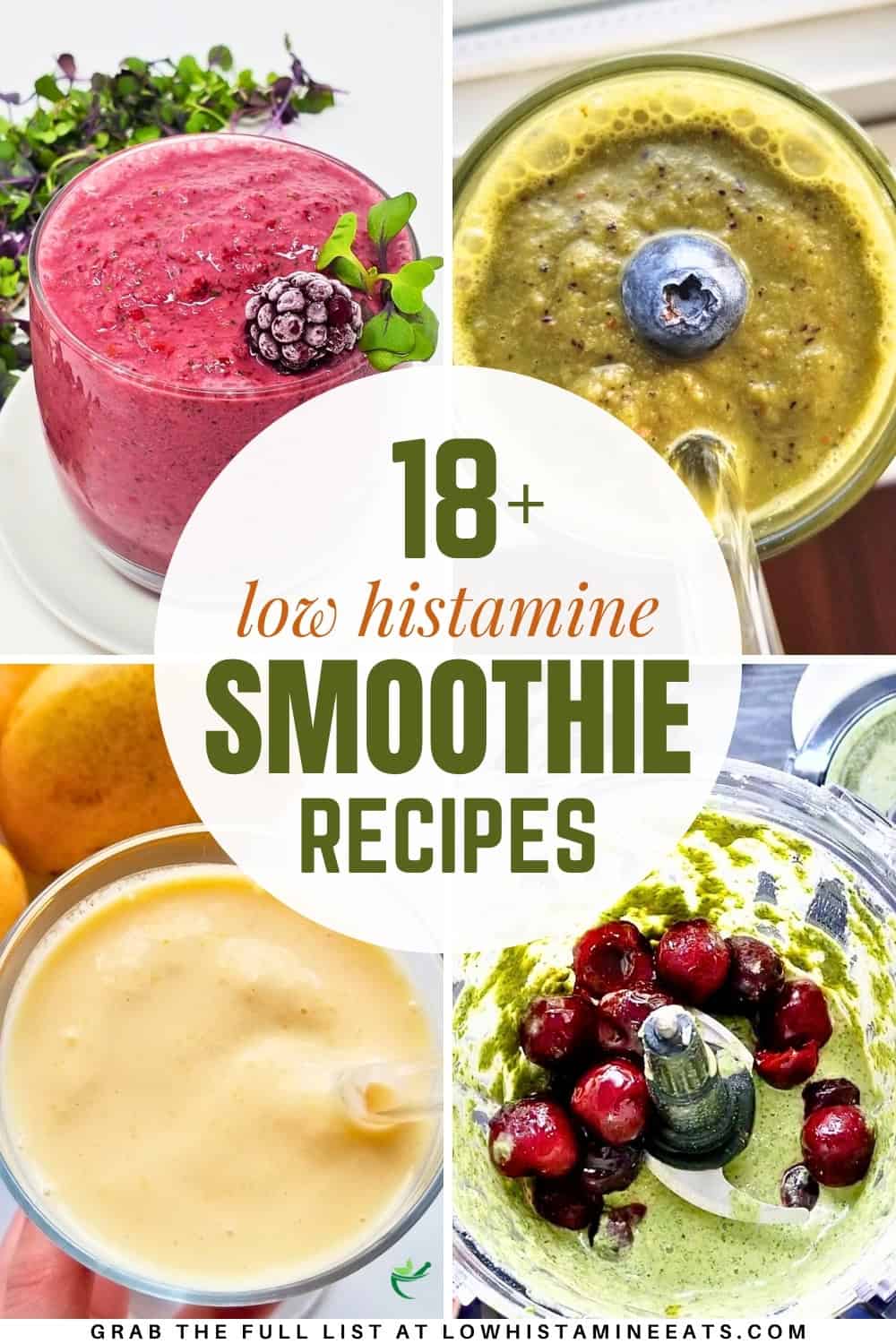 A bright and refreshing collage showcasing a variety of low histamine smoothie recipes.