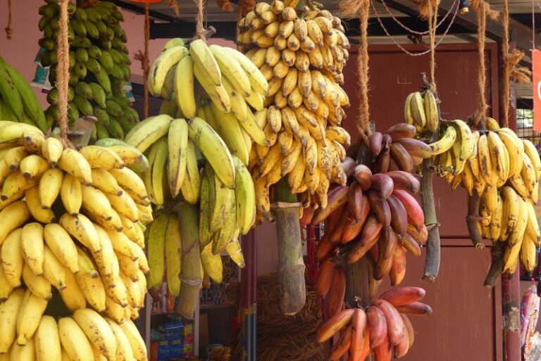 Are Bananas High in Histamine? (Banana Histamine Levels) Low