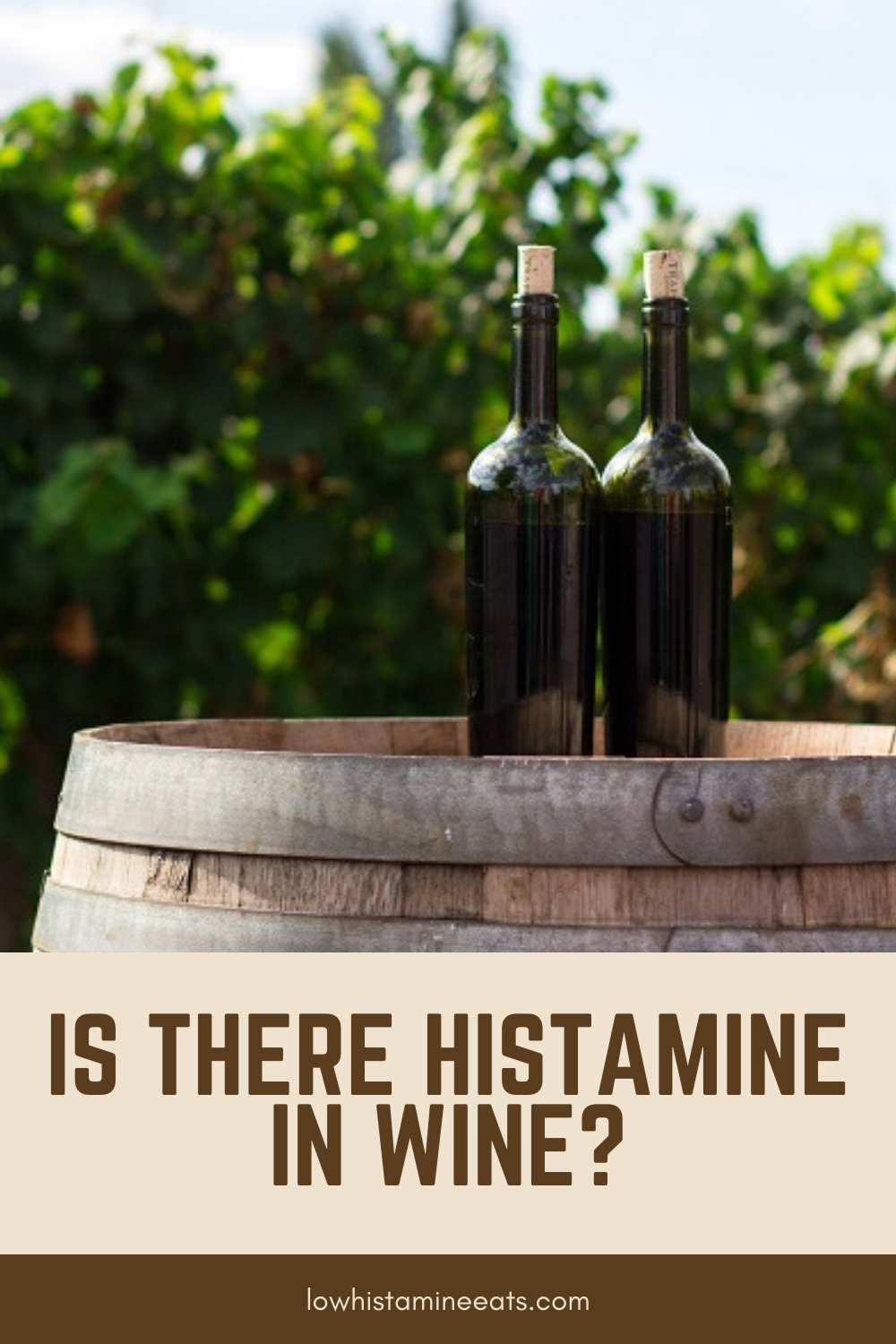 Is There Histamine In Wine? (Low Histamine Wine Guide)