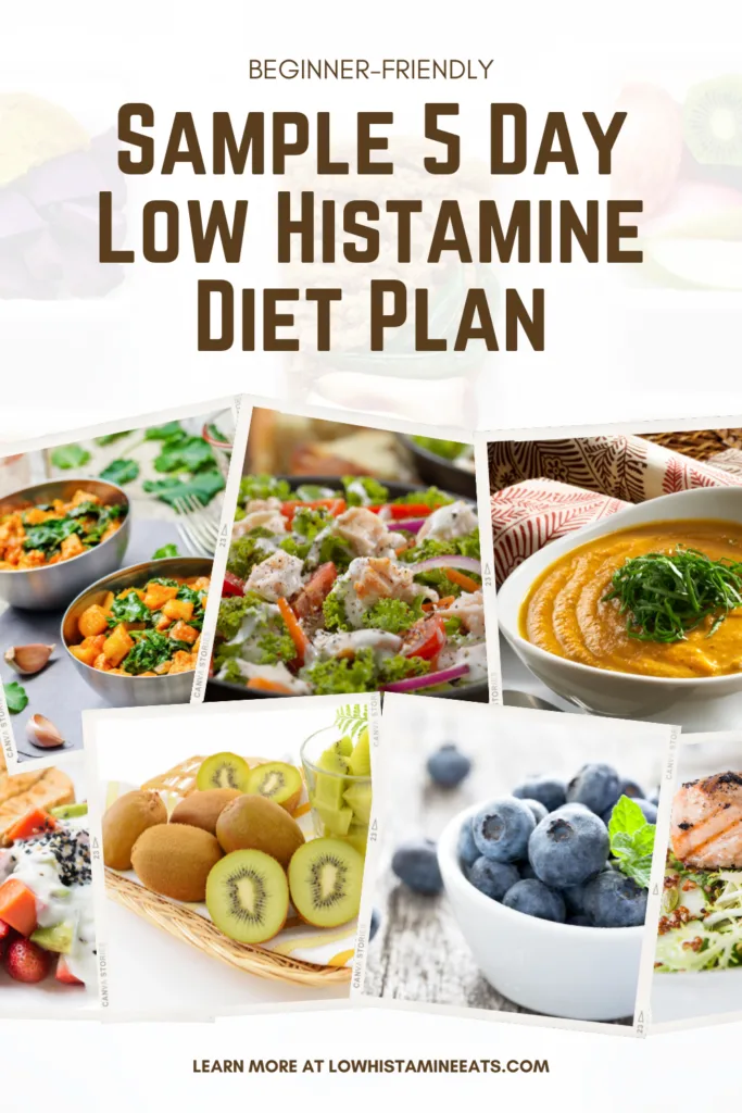 Sample 5 Day Low Histamine Diet Plan (Intensive)