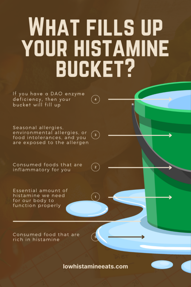 What Is the 'Histamine Bucket' Theory? Low Histamine Eats