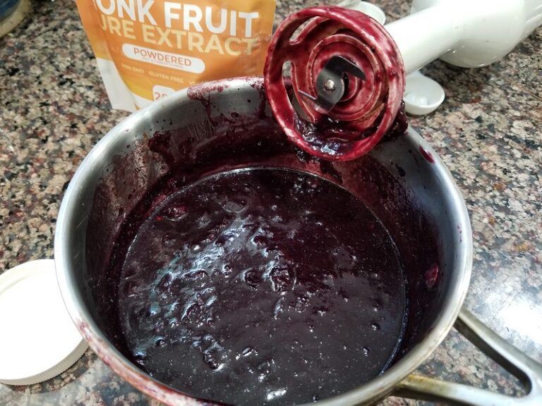 Simple Vanilla Blueberry Jam (Low Histamine, No Pectin)