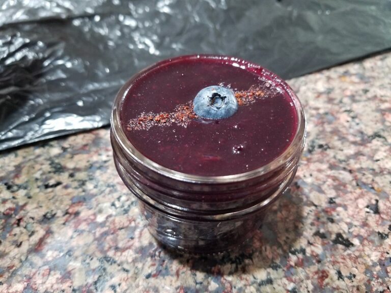 Simple Vanilla Blueberry Jam (Low Histamine, No Pectin)