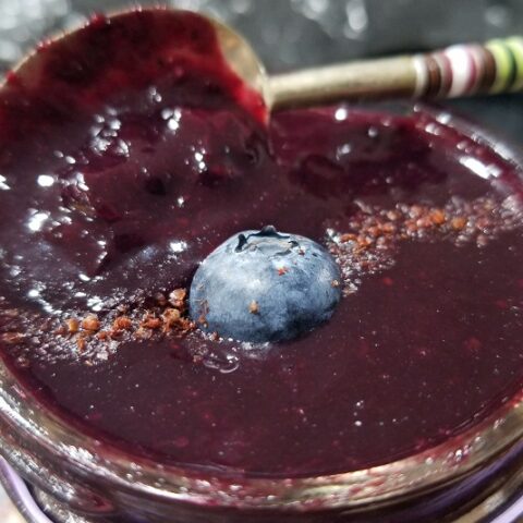 Blueberry Vanilla Jam (Low Histamine, No Pectin)