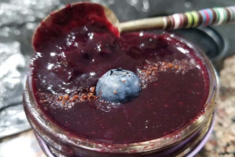 Simple Vanilla Blueberry Jam (Low Histamine, No Pectin)