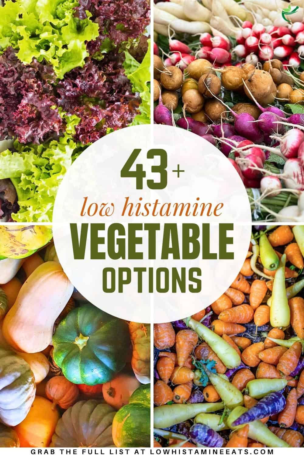 A bright and refreshing collage showcasing a variety of low histamine vegetable options.