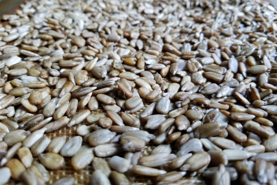 Vegan Sunflower Seed Pesto (Without Lemon Juice, Low Histamine)