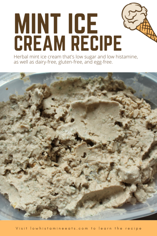 Low Histamine Ice Cream Recipe (Mint Crunch)