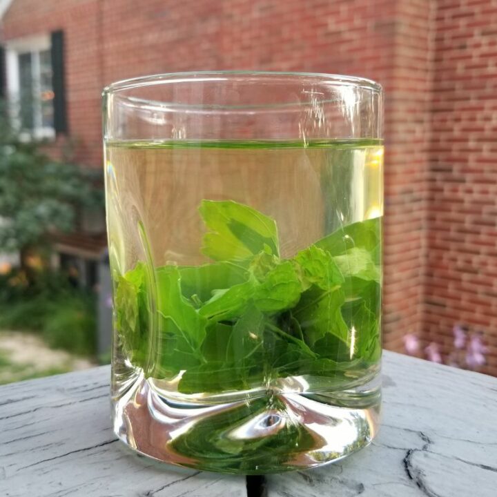 Holy Basil Tea Recipe (Using Fresh or Dried Tulsi)