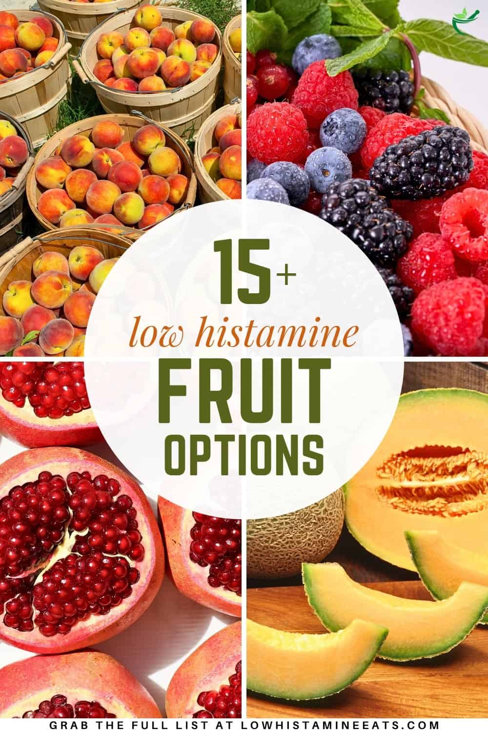 A bright and refreshing collage showcasing a variety of low histamine fruit options.