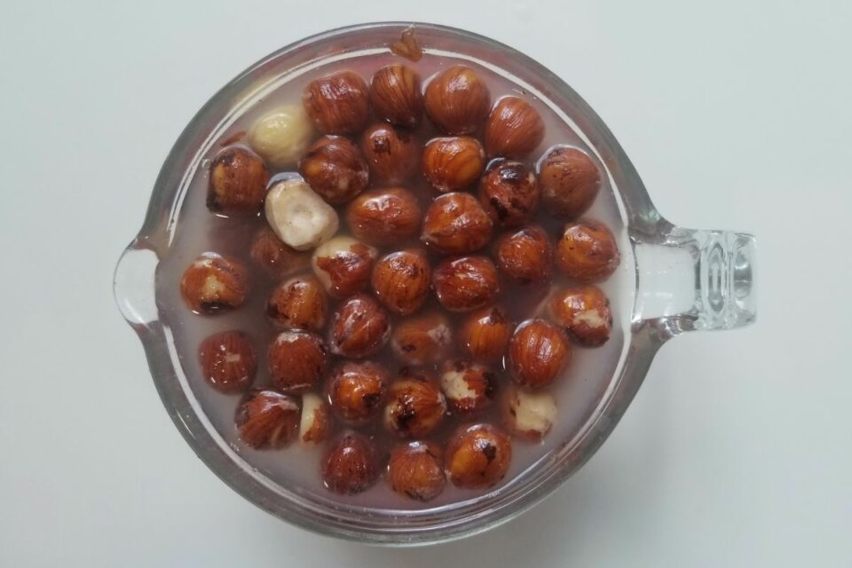 Homemade Hazelnut Milk Recipe (Vegan Version)