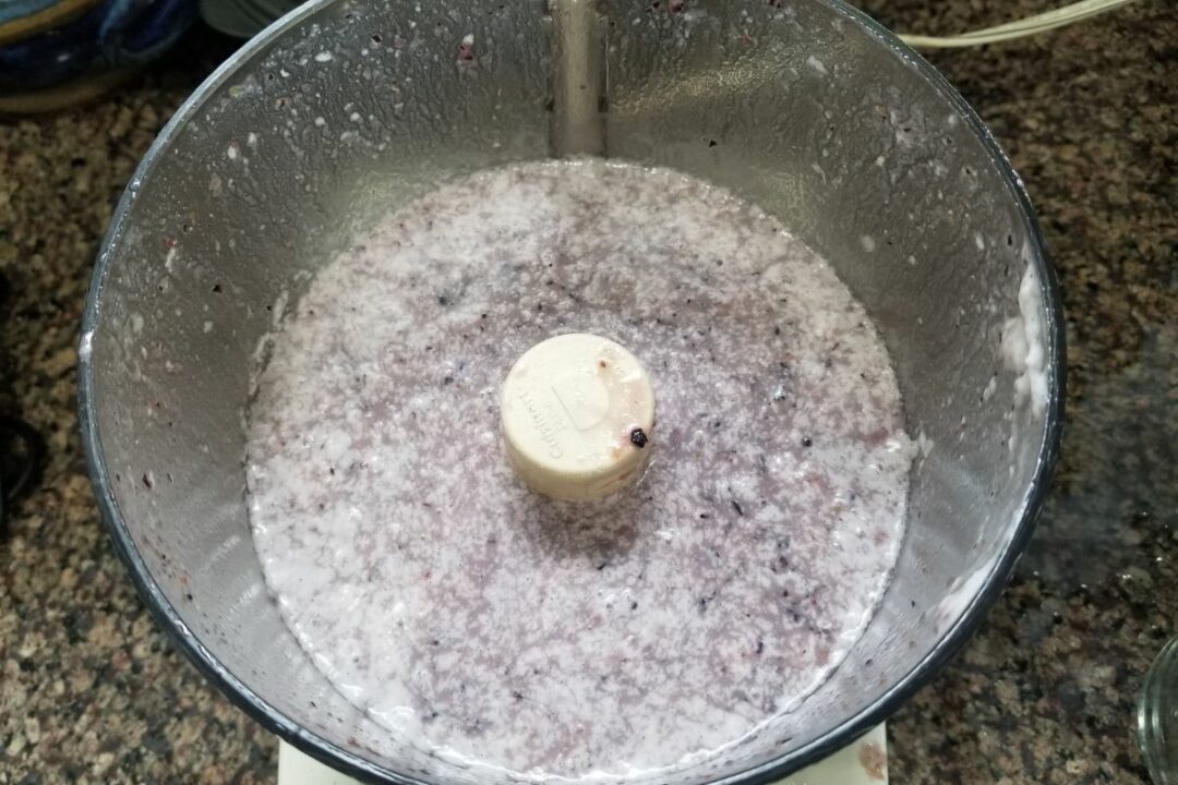 CardamomBlueberry Coconut Milk Popsicles (Low Histamine)