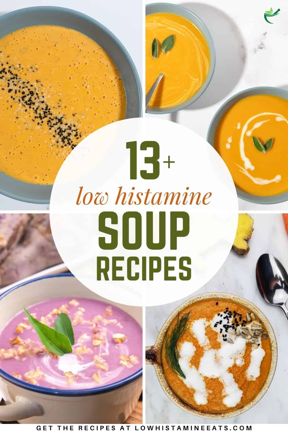 A colorful collage displaying a variety of low histamine soup recipes.