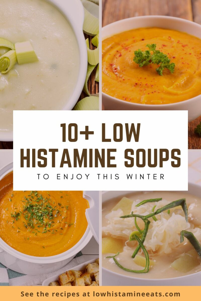 13+ Low Histamine Soups for Every Season Low Histamine Eats