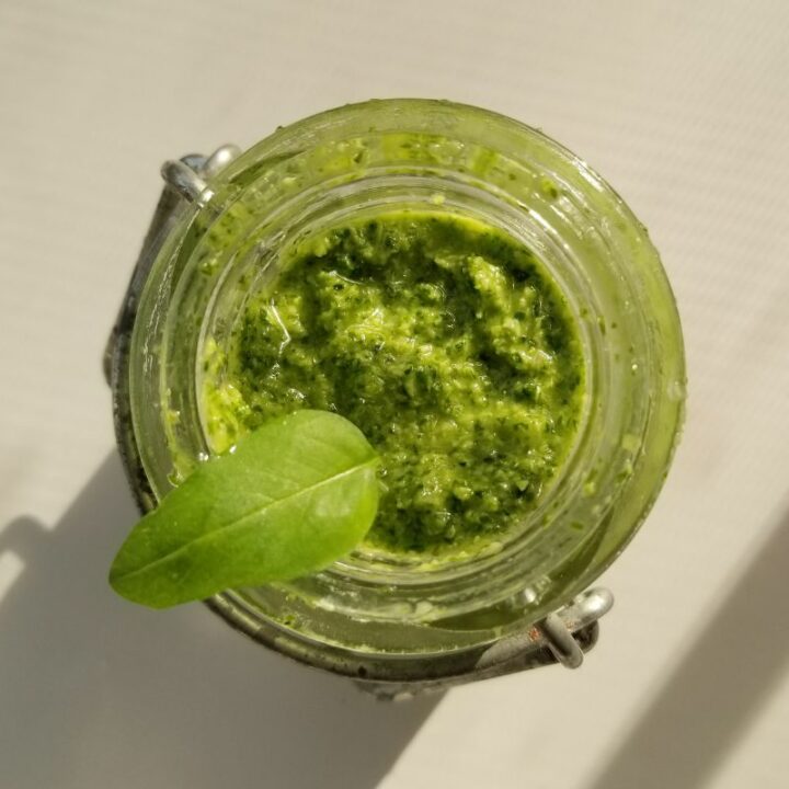 Low FODMAP Macadamia Pesto