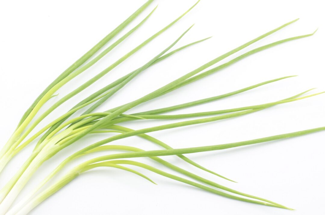 How to Substitute for Spring Onion (7 Options) Low Histamine Eats