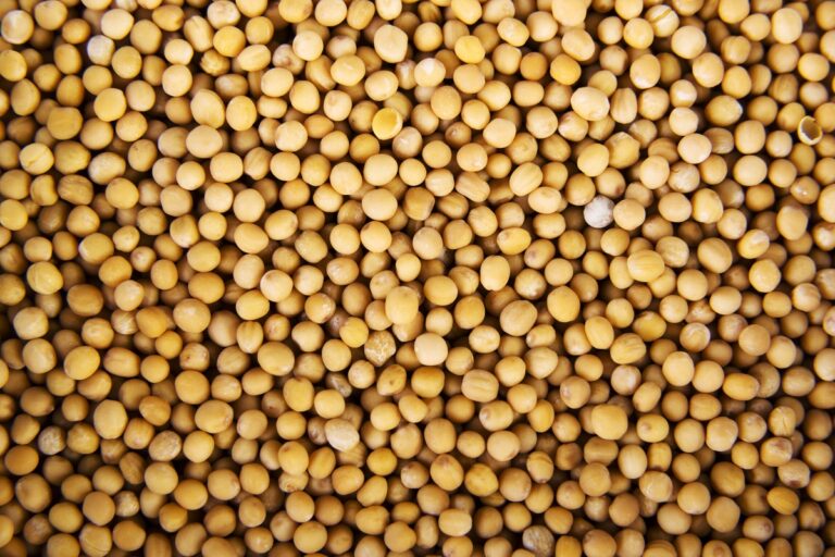 How to Substitute for Mustard Seed (5 Ways) | Low Histamine Eats