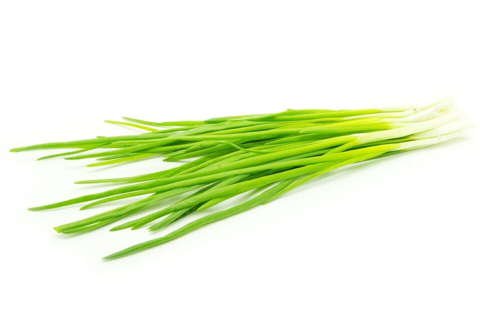 How to Substitute for Spring Onion (7 Options) Low Histamine Eats
