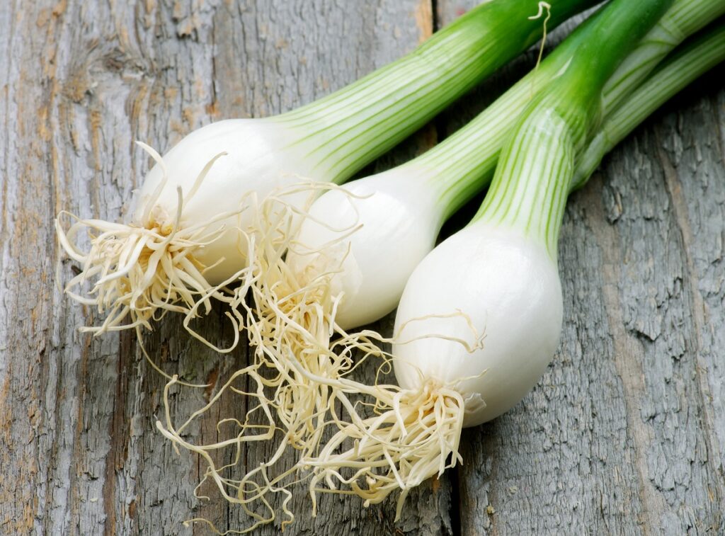 How to Substitute for Spring Onion (7 Options)