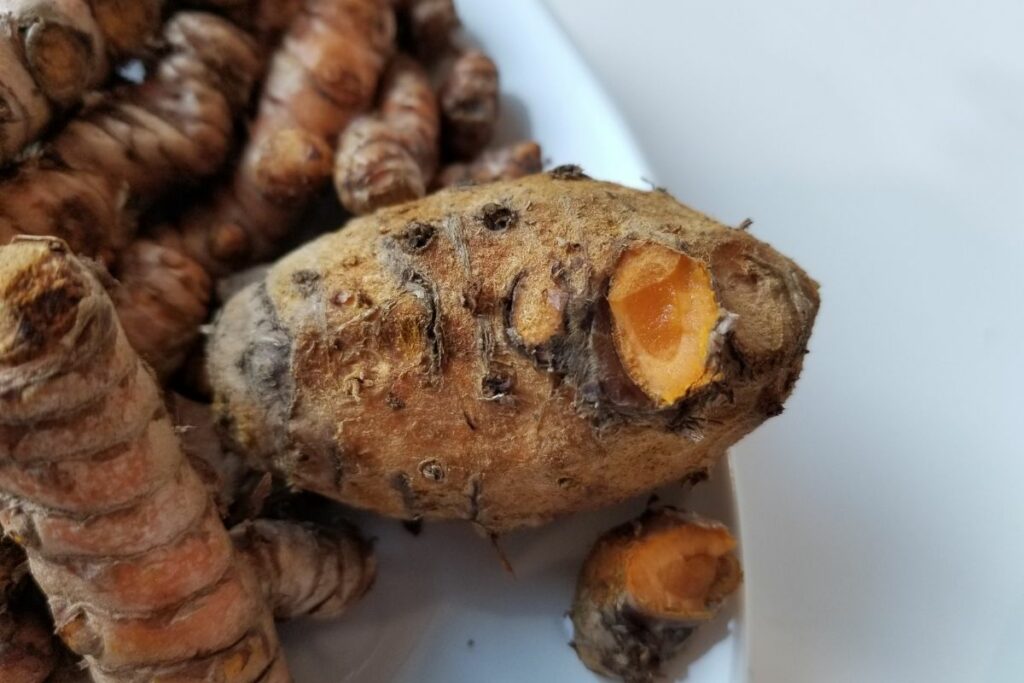 Turmeric roots in a plate.