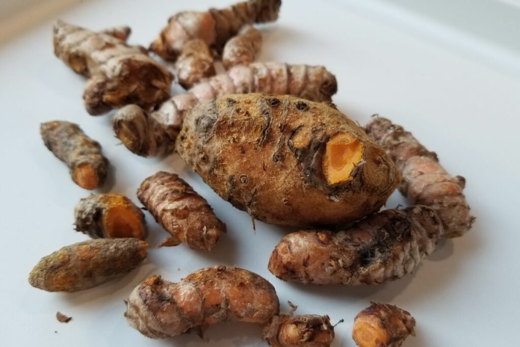 Turmeric roots in a plate.