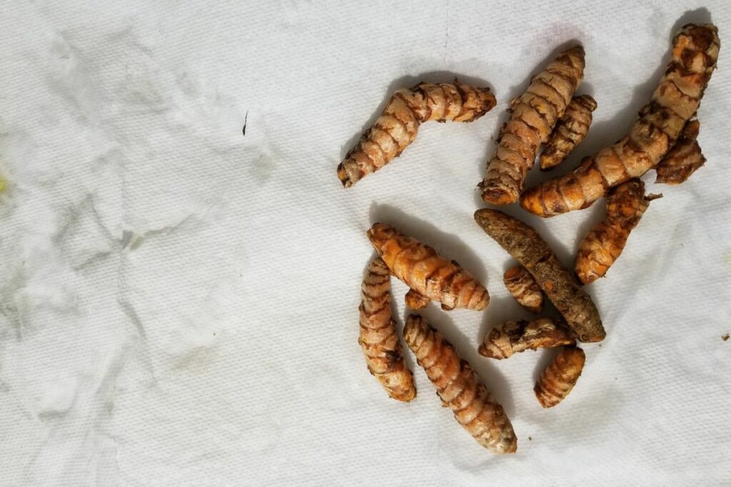 Turmeric roots on top of table napkins.