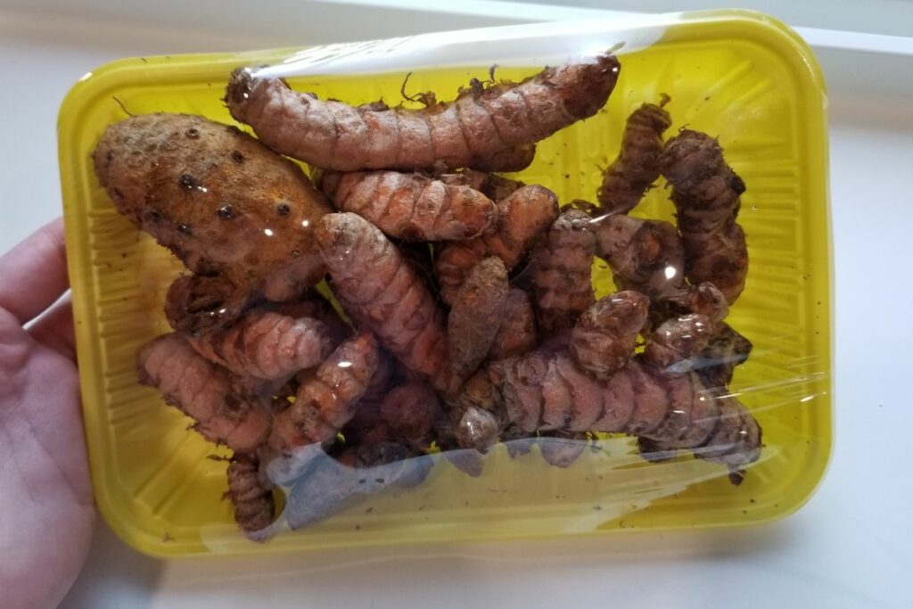 A person holding a packaged turmeric roots.