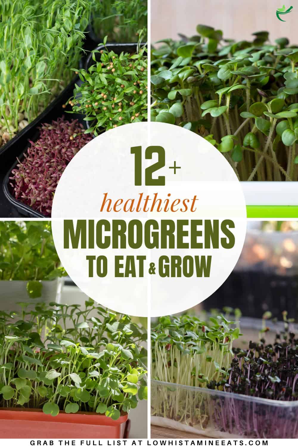 A bright and refreshing collage showcasing a variety of healthiest microgreen options to eat and grow.