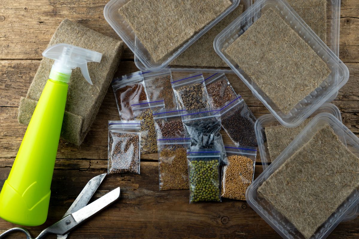 tools for growing microgreens at home.