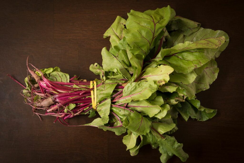 a bunch of beet greens on a flat surface.