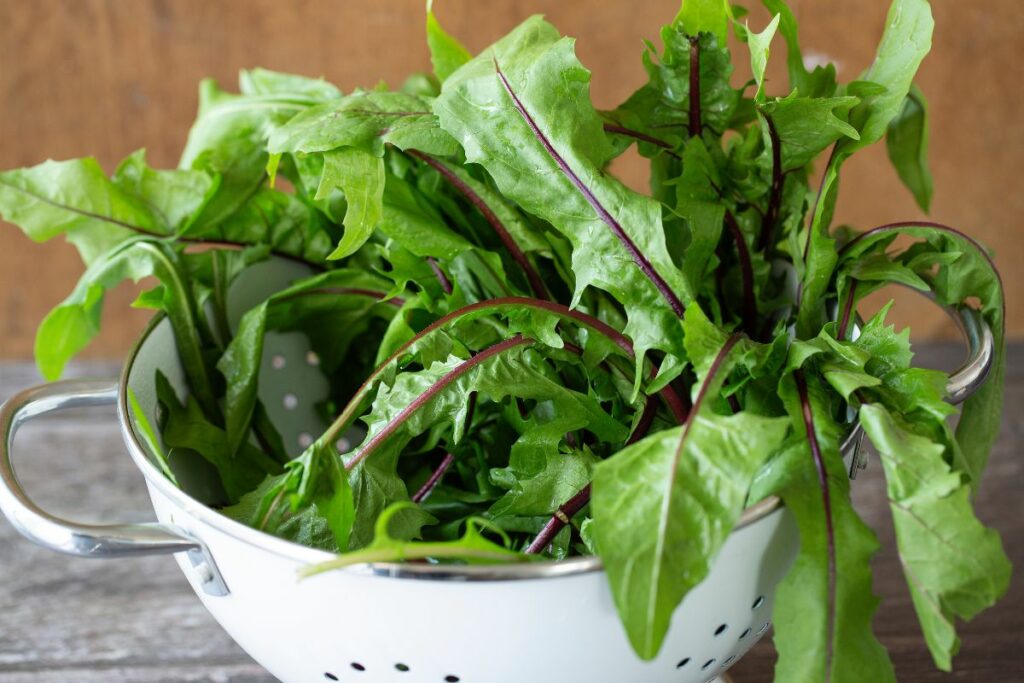 a colander filled with dandelion greens.