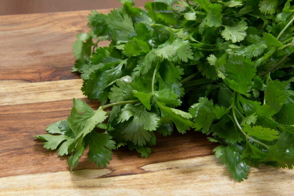 a bunch of fresh cilantro on a wooden cutting board.