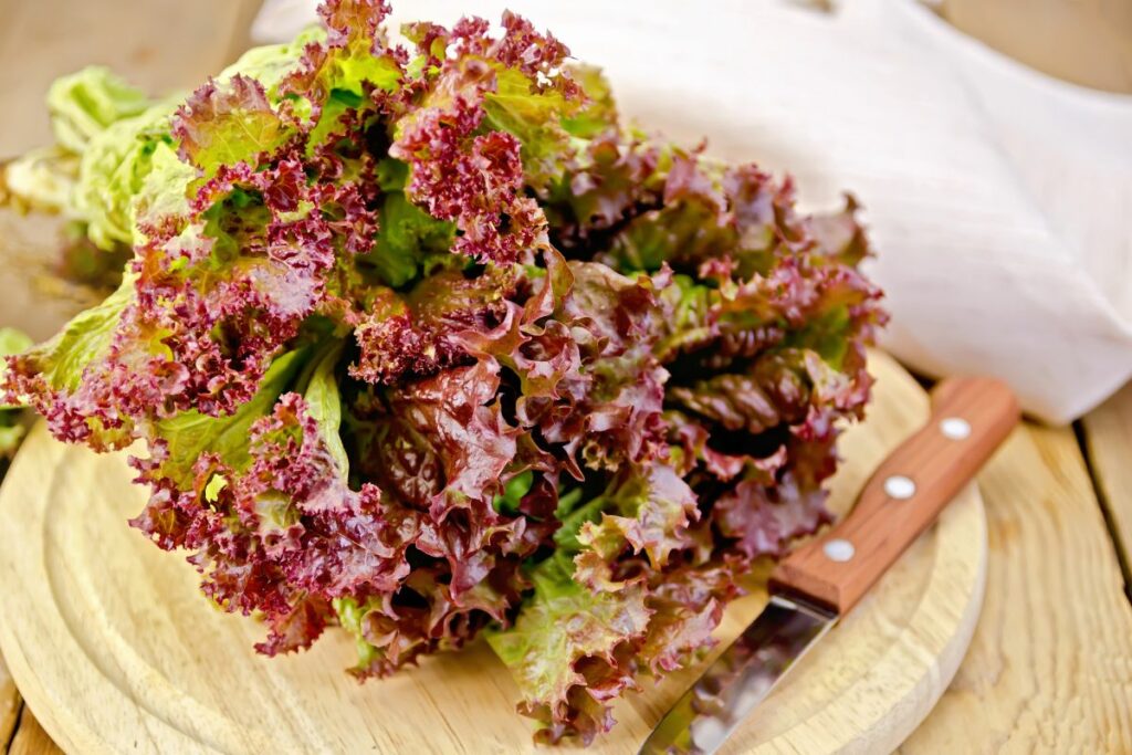 a bunch of red lettuce on a cutting board.