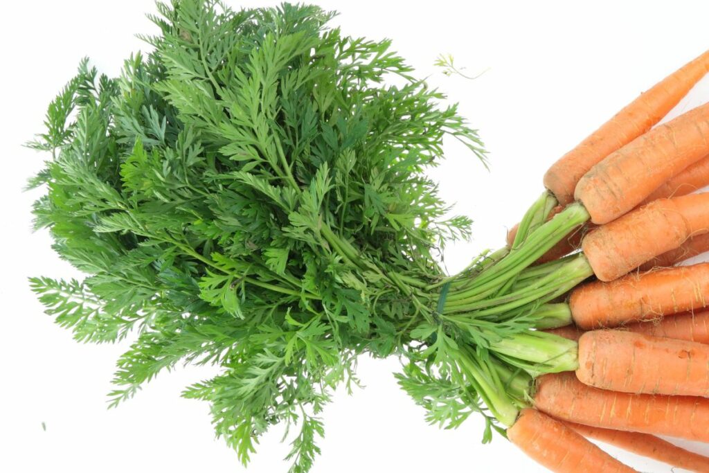 a bunch of carrots on a white background.