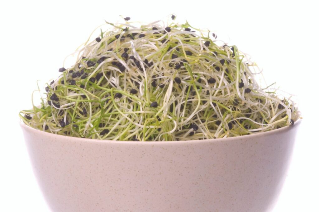 onion sprouts in a bowl.