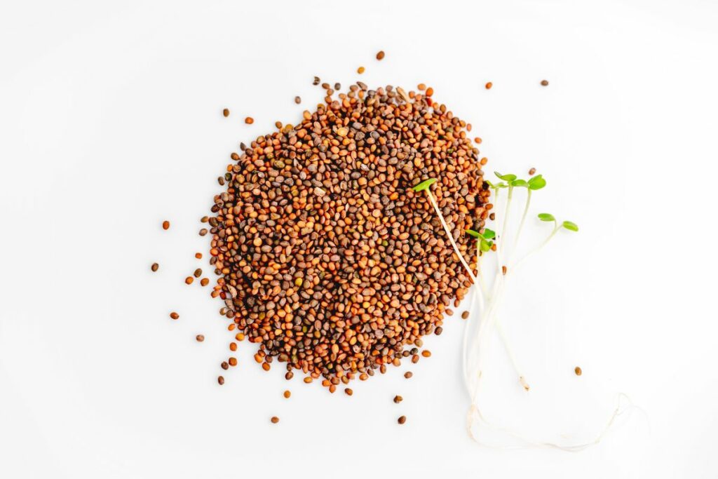 mustard microgreens and its seeds on a flat surface.