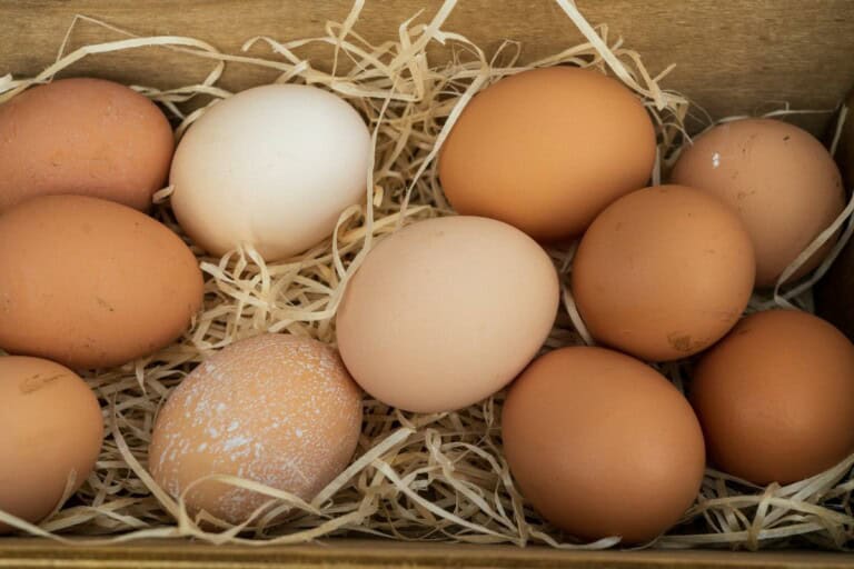 How to Substitute Egg in Meatballs (9 GlutenFree Options) Low