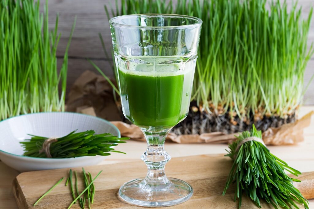 a glass of wheatgrass juice with freshly harvested wheatgrass on a wooden table.