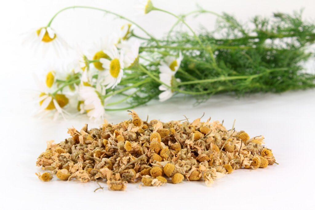 A pile of dried chamomile flowers.